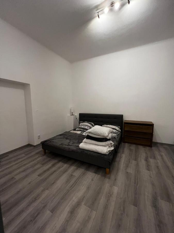 Mlynsky Ostrov Apartment 2 Zdice Dış mekan fotoğraf
